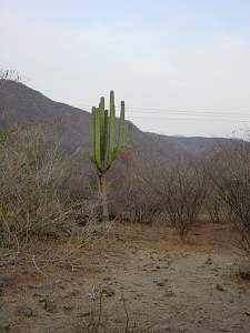 DSC02441 Campsite past Iguala.jpg